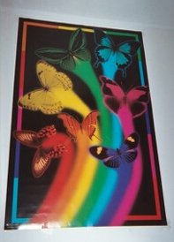 butterflies.jpg